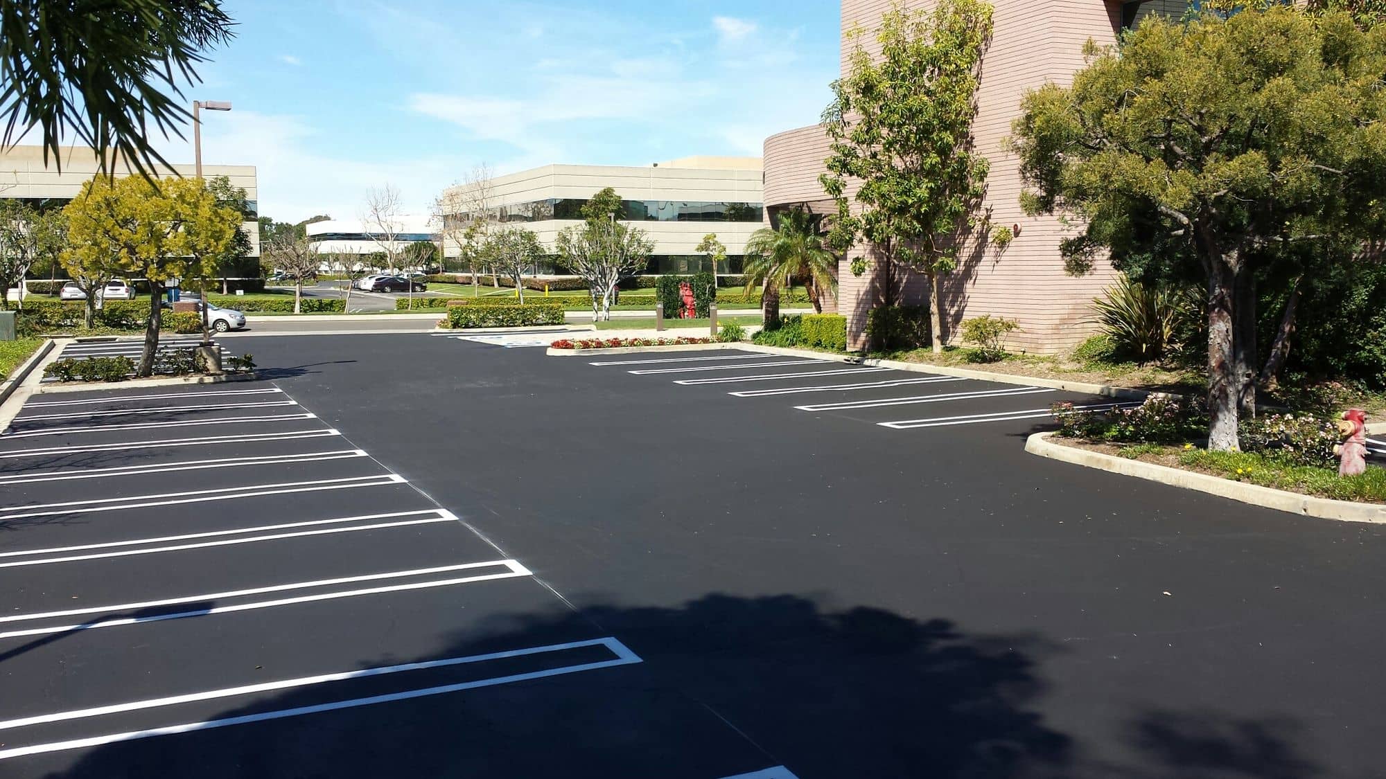 Office park parking lot with new seal and white stall striping in the morning sun