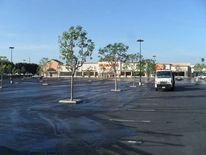 Broad shopping-center parking field after sealing, dotted with young trees
